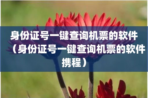身份证号一键查询机票的软件（身份证号一键查询机票的软件携程）