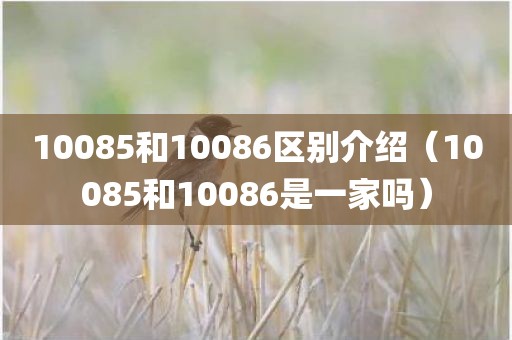 10085和10086区别介绍（10085和10086是一家吗）