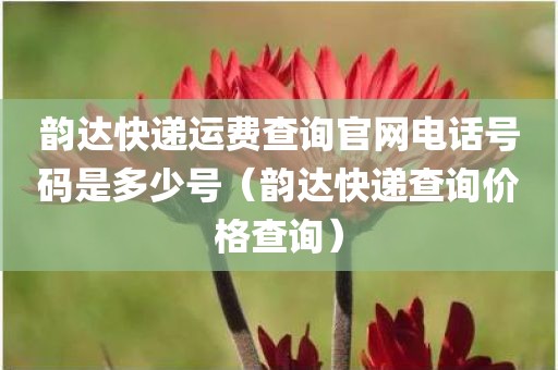 韵达快递运费查询官网电话号码是多少号（韵达快递查询价格查询）