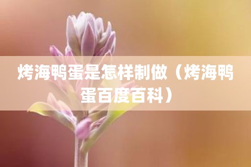 烤海鸭蛋是怎样制做（烤海鸭蛋百度百科）