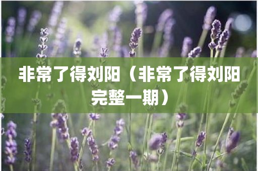 非常了得刘阳（非常了得刘阳完整一期）