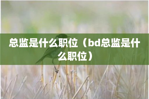 总监是什么职位（bd总监是什么职位）