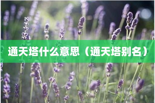 通天塔什么意思（通天塔别名）