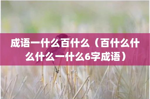 成语一什么百什么（百什么什么什么一什么6字成语）