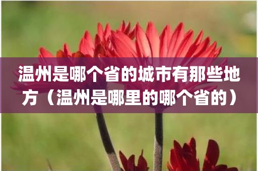 温州是哪个省的城市有那些地方（温州是哪里的哪个省的）