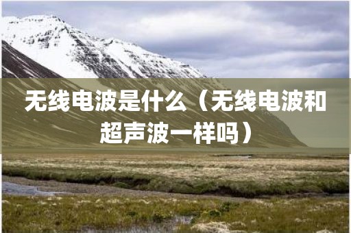 无线电波是什么（无线电波和超声波一样吗）