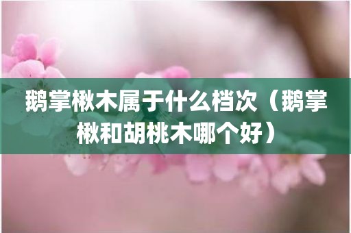 鹅掌楸木属于什么档次（鹅掌楸和胡桃木哪个好）