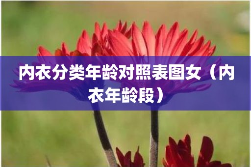 内衣分类年龄对照表图女（内衣年龄段）