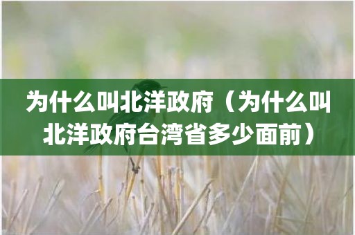 为什么叫北洋政府（为什么叫北洋政府台湾省多少面前）