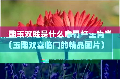 雕玉双联是什么意思打一生肖（玉雕双喜临门的精品图片）