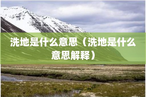 洗地是什么意思（洗地是什么意思解释）