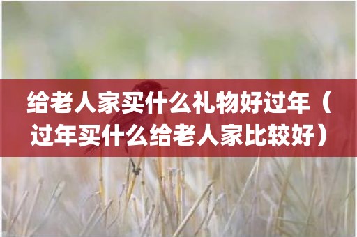 给老人家买什么礼物好过年（过年买什么给老人家比较好）