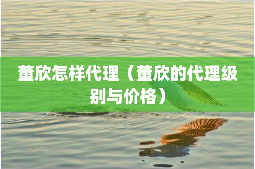 董欣怎样代理（董欣的代理级别与价格）