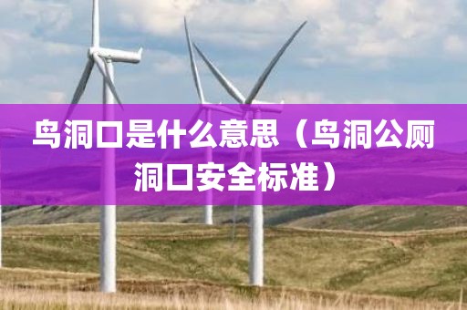 鸟洞口是什么意思（鸟洞公厕洞口安全标准）