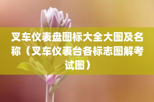 叉车仪表盘图标大全大图及名称(叉车仪表台各标志图解考试图)