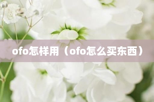 ofo怎样用（ofo怎么买东西）