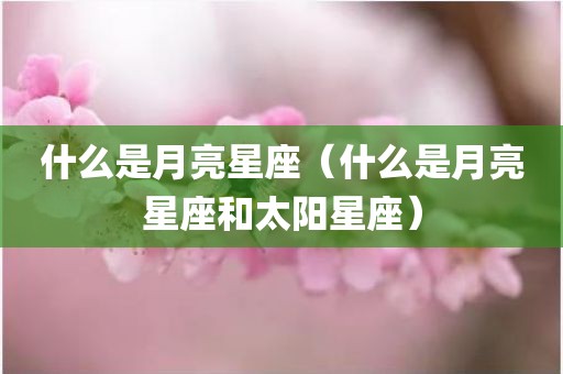 什么是月亮星座(什么是月亮星座和太阳星座)