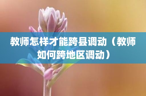 教师怎样才能跨县调动（教师如何跨地区调动）