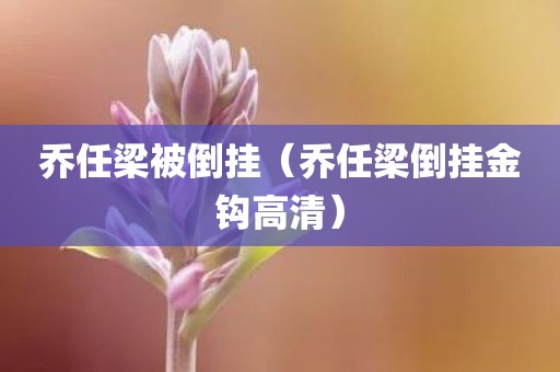 乔任梁被倒挂（乔任梁倒挂金钩高清）