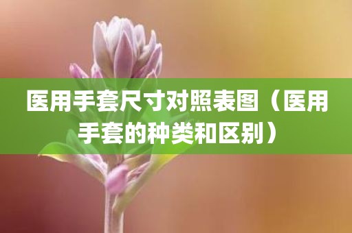 医用手套尺寸对照表图（医用手套的种类和区别）
