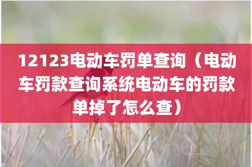 12123电动车罚单查询（电动车罚款查询系统电动车的罚款单掉了怎么查）