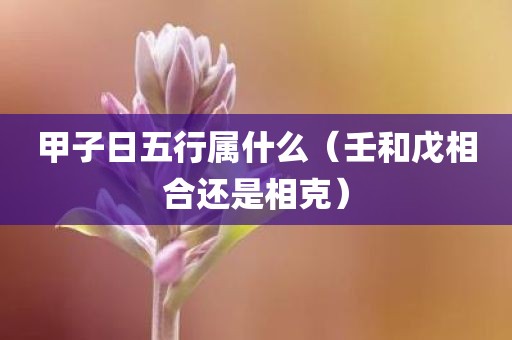 甲子日五行属什么（壬和戊相合还是相克）