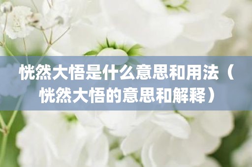 恍然大悟是什么意思和用法（恍然大悟的意思和解释）