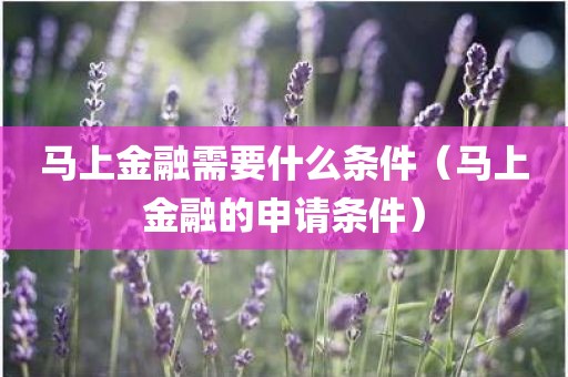 马上金融需要什么条件(马上金融的申请条件)
