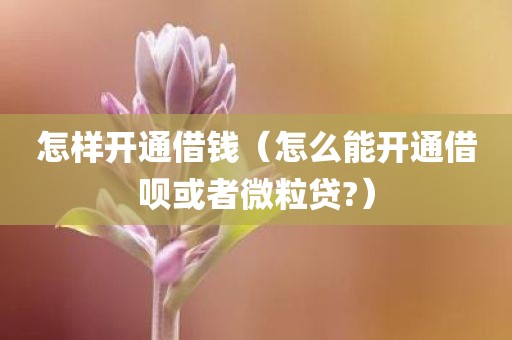 怎样开通借钱（怎么能开通借呗或者微粒贷?）