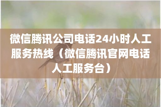 微信腾讯公司电话24小时人工服务热线（微信腾讯官网电话人工服务台）
