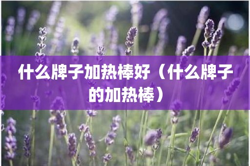 什么牌子加热棒好（什么牌子的加热棒）