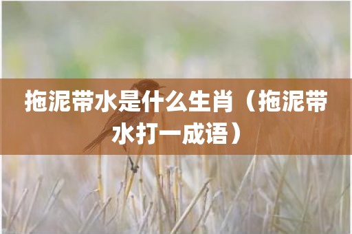 拖泥带水是什么生肖（拖泥带水打一成语）