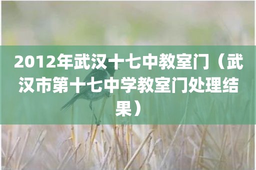 2012年武汉十七中教室门（武汉市第十七中学教室门处理结果）