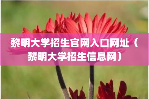 黎明大学招生官网入口网址（黎明大学招生信息网）
