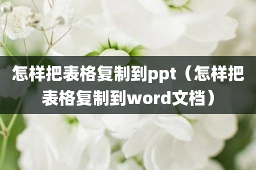 怎样把表格复制到ppt（怎样把表格复制到word文档）