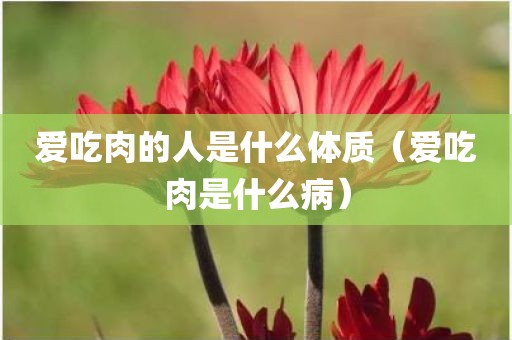 爱吃肉的人是什么体质（爱吃肉是什么病）
