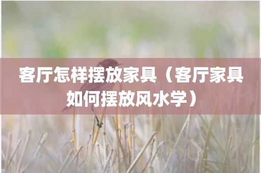 客厅怎样摆放家具（客厅家具如何摆放风水学）
