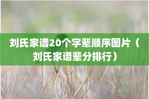刘氏家谱20个字辈顺序图片(刘氏家谱辈分排行) 刘氏家谱20个字辈顺序图片(刘氏家谱辈分排行)