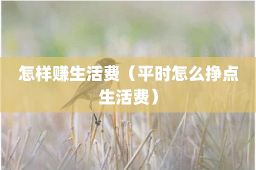 怎样赚生活费（平时怎么挣点生活费）