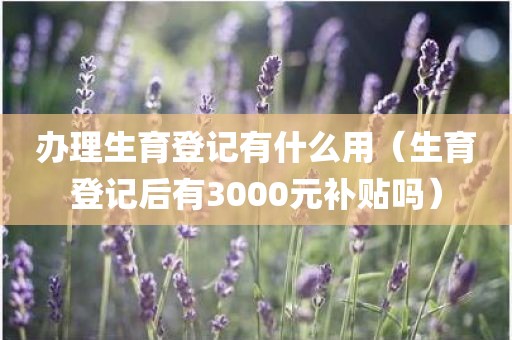 办理生育登记有什么用（生育登记后有3000元补贴吗）