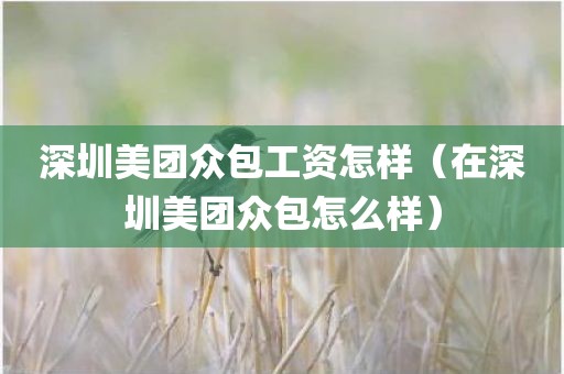深圳美团众包工资怎样（在深圳美团众包怎么样）
