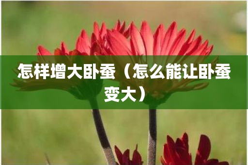 怎样增大卧蚕（怎么能让卧蚕变大）