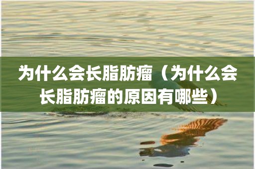为什么会长脂肪瘤（为什么会长脂肪瘤的原因有哪些）