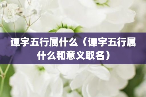 谭字五行属什么（谭字五行属什么和意义取名）