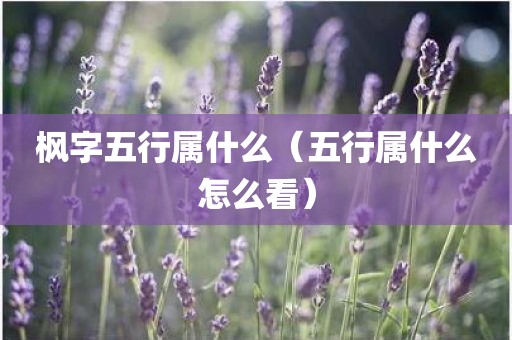 枫字五行属什么（五行属什么怎么看）