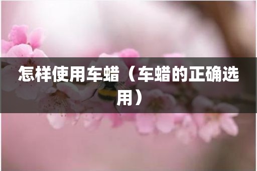 怎样使用车蜡（车蜡的正确选用）