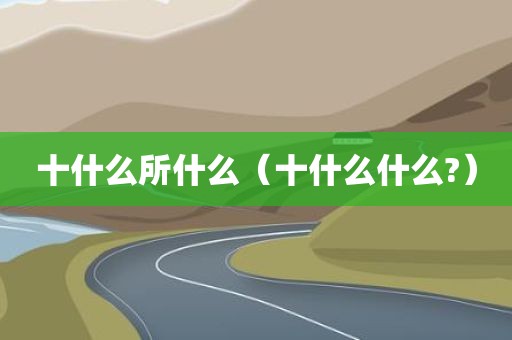 十什么所什么（十什么什么?）