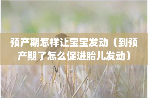 预产期怎样让宝宝发动（到预产期了怎么促进胎儿发动）