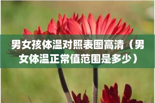 男女孩体温对照表图高清（男女体温正常值范围是多少）