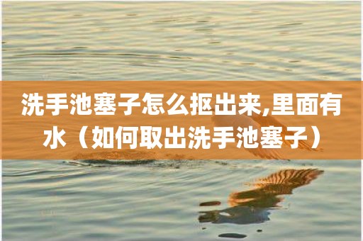 洗手池塞子怎么抠出来,里面有水(如何取出洗手池塞子)